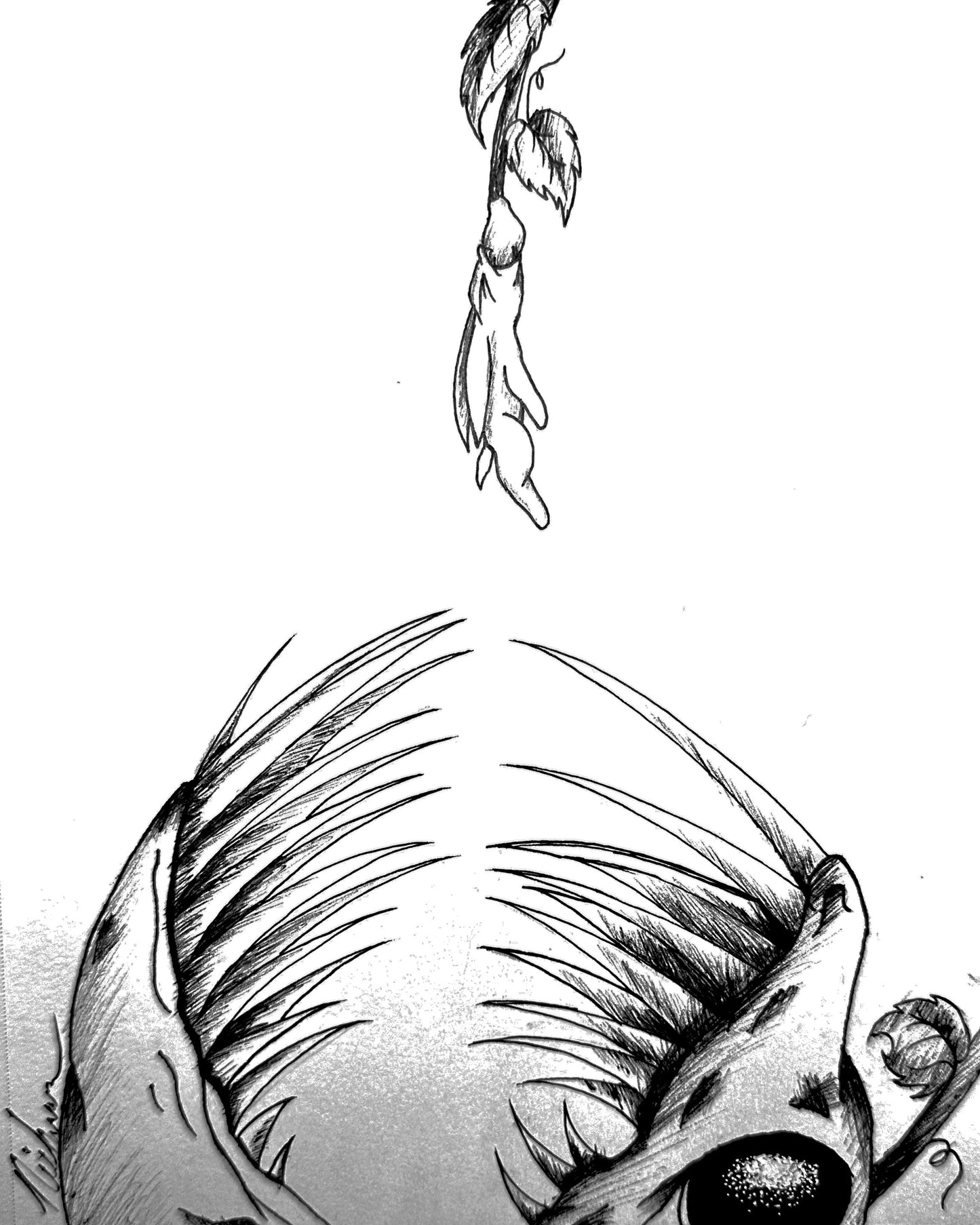 EVE